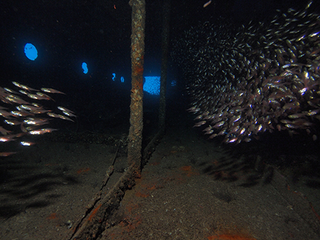 SSI WRECK DIVING